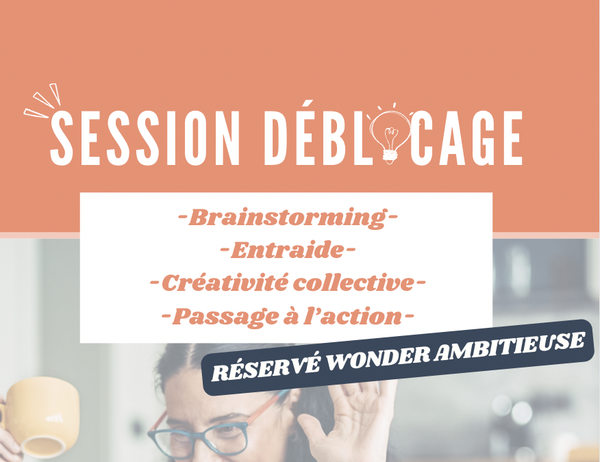 session-deblocage-wonder-entrepreneuse-larochelle-réseau-entrepreneuriat