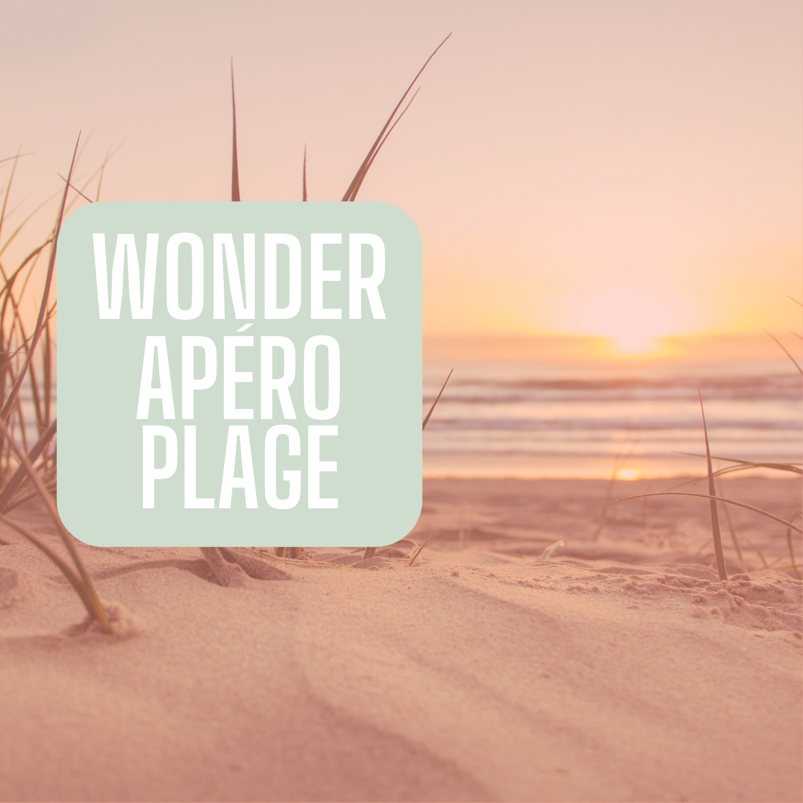 Wonder Apéro Plage - Pays Royannais 🥂