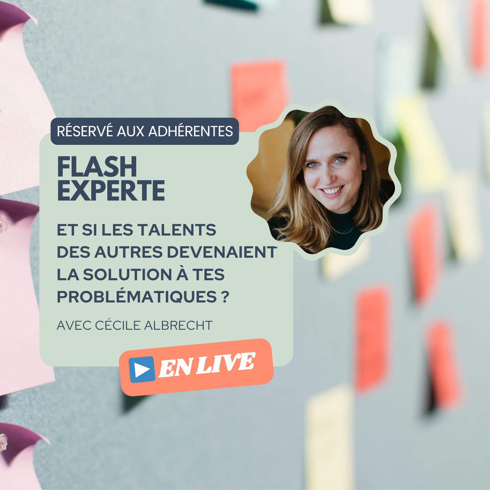 Flash Experte - Co-Développement